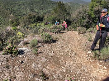 Trail Walking Rocbaron - le pilon St Clément par le col de la bigue - Photo