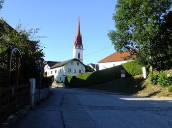 Excursión A pie Neumarkt im Mühlkreis - Museums-Rundweg - Photo