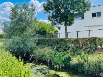 Randonnée Marche Diepenbeek - La vallée du Démer - La réserve naturelle Dorpsbemden à Diepenbeek - Photo