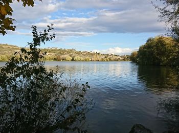 Tour Wandern Dijon - DIJON ; Lac Kir, Puits de Moïse (04-11-2019) - Photo