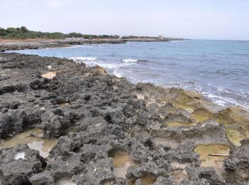 Trail On foot Ostuni - Variante Via Francigena - Photo