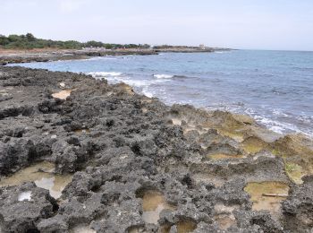 Tour Zu Fuß Ostuni - Variante Via Francigena - Photo