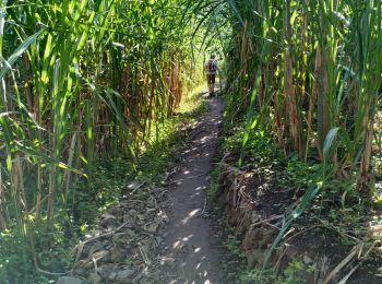 Tour Wandern  - Cabo de Ribeira - Vila das Pombas - Photo