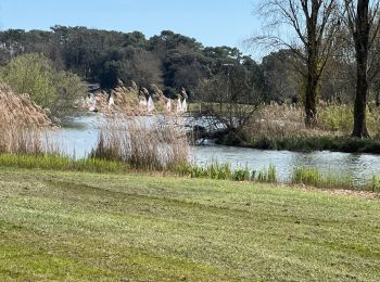 Trail Walking Saint-Palais-sur-Mer - promenade - Photo