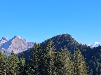 Tour Wandern Glières-Val-de-Borne - GLIERES: TOUR DES FRETES - Photo