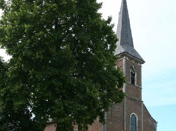 Randonnée A pied Bekkevoort - Hermansheuvel Oranje bol - Photo