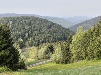 Trail On foot Goslar - HK 2: Münchehof, Bhf. - Bad Grund - Clausthal-Zellerfeld - Langelsheim - Photo