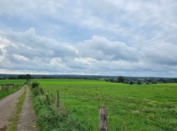 Randonnée Marche Raeren - Lichtenbusch  - Photo