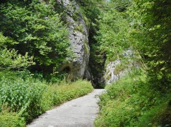 Tour Zu Fuß Riva del Garda - IT-O422 - Photo