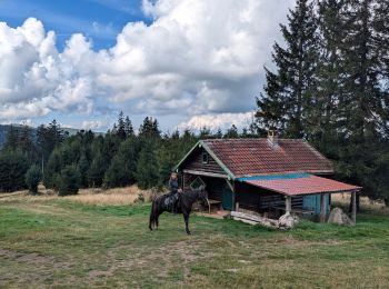 Excursión Paseo ecuestre Ottrott - 2024-09-03_17h19m14_suuntoapp-HorsebackRiding-2024-09-03T08-25-34Z-track - Photo