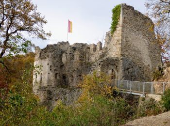 Trail On foot Gemeinde Mödling - Wienerwald-Sternwanderweg 43 - Photo