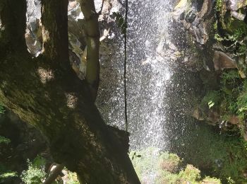 Randonnée Marche Curières - Cascade du Déves - Photo