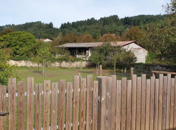 Excursión Senderismo Châteldon - Le tour dans Châteldon  - Photo