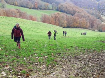 Trail Walking Lestrade-et-Thouels - Randonnée Téléthon  - Photo