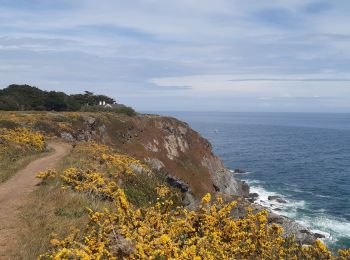 Trail Walking Bangor - port cotton,Locmaria - Photo