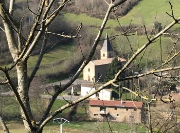 Tocht Stappen Cenves - Cenves circuit des pentes - Photo