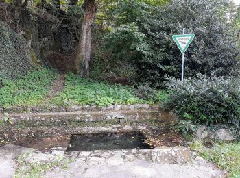 Tour Zu Fuß Bergisch Gladbach - O Rund um Berg.Gladbach-Herkenrath - Photo