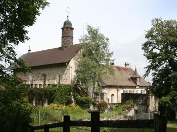 Tocht Te voet Gruyères - Sentier des Pauvres - Photo