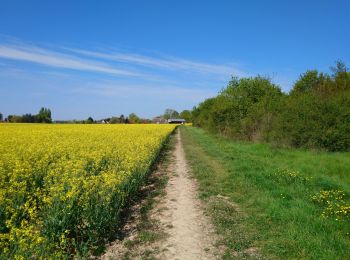 Trail Walking Fondettes - Fondettes - Impro 4 communes - 21.6km 200m 4h40 (30mn) - 2021 04 24 - Photo