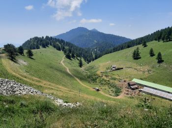 Excursión Senderismo La Bollène-Vésubie - anthion 16/07/2022 - Photo