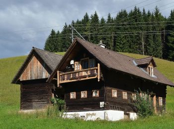 Trail On foot Fischbach - Falkenstein - Fischbach - Photo