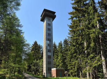 Excursión A pie Fichtelberg - Brunnenweg - Photo