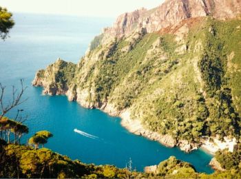 Tocht Te voet Camogli - Molini di San Fruttuoso - Nozarego - Photo