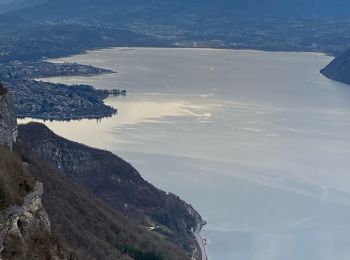 Randonnée Marche Entrelacs - La chambotte mont laval aix les bains  - Photo