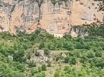 Tour Wandern Massegros Causses Gorges - le rozier  - Photo