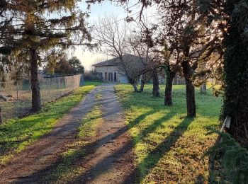 Randonnée Marche Monferran-Savès - Sur les terres de Monferran Saves  - Photo