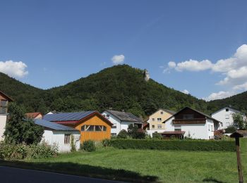 Excursión A pie Dietfurt an der Altmühl - Wildensteiner Steig - Photo