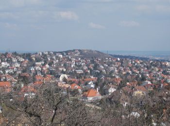 Tour Zu Fuß Unbekannt - P■ (Csillebérc, KFKI am. - Frankhegyi th. - Irhás-árok, am.) - Photo