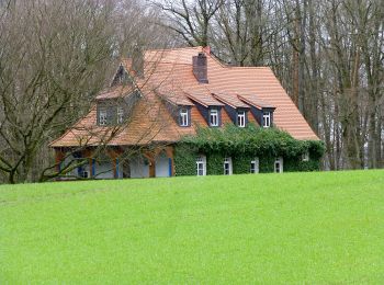 Percorso A piedi Reichelsheim (Odenwald) - Rundwanderweg Vierstöck 6: Knösberg-Weg - Photo