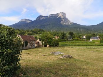 Excursión Senderismo Apremont - 20190814 - Lac Saint André - Photo