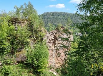 Tocht Stappen Wangenbourg-Engenthal - ARCA WANGENBOURG - Photo