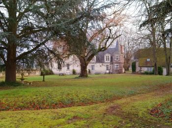 Tour Wandern Saint-Georges-sur-Cher - Francueil - La Chaise - 2016 01 02 - Photo