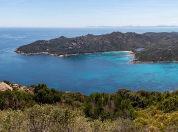 Trail Walking Porto-Vecchio - Traversée Porto Novo/Santa Giulia par les crêtes - Photo