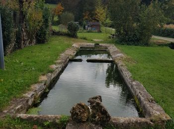 Percorso Marcia Rignac - Rignac - Photo