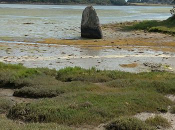 Excursión Senderismo Pont-l'Abbé - Pont l'Abbé et l'estuaire de la rivière (fleuve côtier) du même nom - Photo