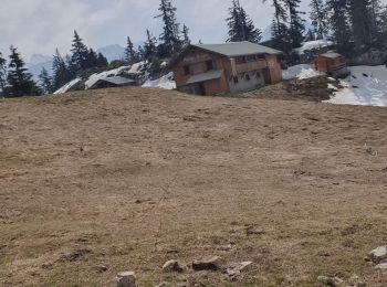 Tour Wandern Glières-Val-de-Borne - Les Meffins - Col de Spée - Lavouillon - Les Meffins - Photo