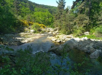 Tour Wandern Cros-de-Géorand - La Palisse Cros de Gérorand - Photo