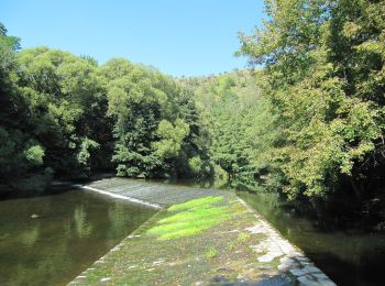 Percorso A piedi Mohelno - Naučná stezka národní přírodní rezervace Mohelenská hadcová step - Photo