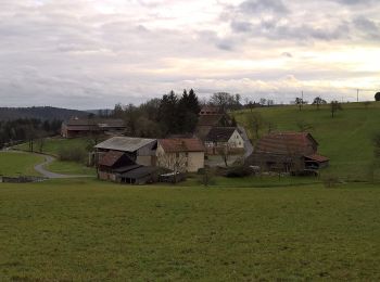 Tocht Te voet Michelstadt - Rundwanderweg Vielbrunn 5 : Sansenhof-Weg - Photo