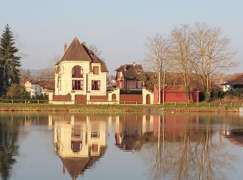 Tour Wandern Villeneuve-sur-Yonne - 220306 Villeneuve sur Yonne - Photo