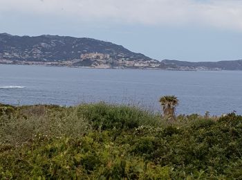 Percorso Marcia Algajola - Corse La Punto de Spano - Photo