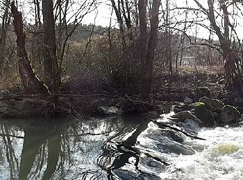 Tocht Te voet Schwäbisch Gmünd - Schwäbisch Gmünd - Krähe - Lorch - Photo