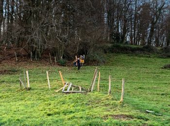 Randonnée Marche Fréland - Freland  - Photo