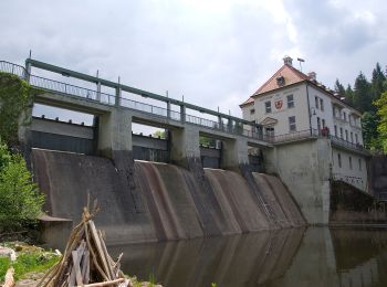 Excursión A pie Viechtach - Viechtach, Rundweg Nr. 1 - Photo