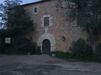 Tocht Stappen Torroella de Montgrí - sobrestany octobre 24 - Photo