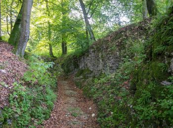 Randonnée A pied Schlangen - Rundwanderweg 34 [Barnacken] - Photo